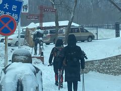 -亚布力新体委滑雪场
