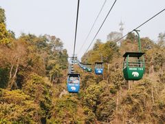 -野象谷景区