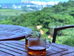 -远山有窑