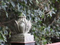 -福建泉州仙公山风景名胜区