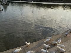 -上海交通大学(闵行校区)