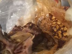 -邓氏兔头