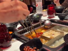 -鼎膳常火锅(华阳店)
