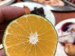 -比尔森韩式烤肉自助(绿园店)