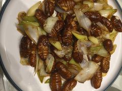 -桃源新村双台子店