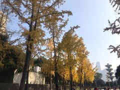 -重庆市江北嘴中央商务区中央公园