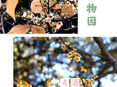 -国家植物园