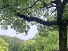 -共青国家森林公园-售票处