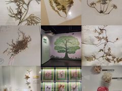 -四川大学博物馆