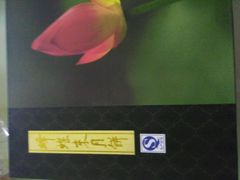 -蜂蝶来饼店(拱北总店)