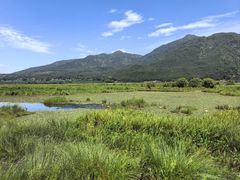 -腾冲北海湿地