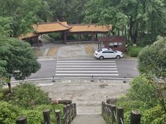 -铁山坪森林公园