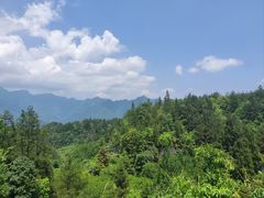 -梭布垭石林景区