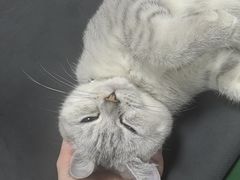 -无趣桌游狼人杀店