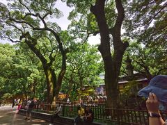 -法雨寺餐厅