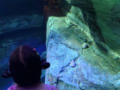 -沈阳海洋探索中心