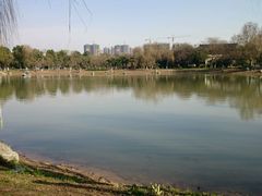 -堤角公园