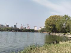 -河北省园博园