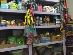 -中农大我爱我爱24h动物医院·中医针灸·猫专科·骨科医疗中心(双井店)