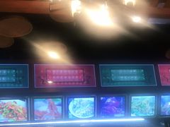 -老长沙湘菜馆(凤凰路店)