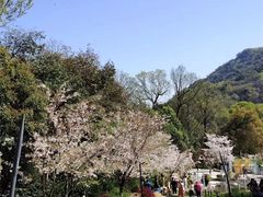 -杭州少年儿童公园