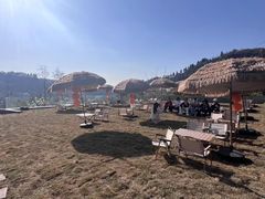 -桃源山庄·水蜜桃采摘·柴火鸡·烧烤团建(龙泉山店)