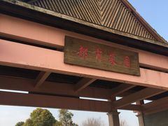 -上海都市菜园