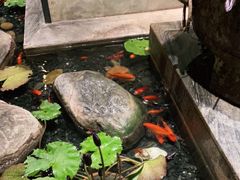 -南堂館川菜文化餐厅(天府店)