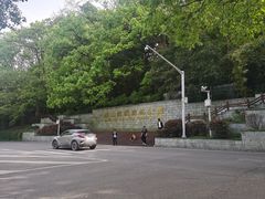 -潜山国家森林公园