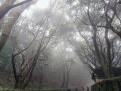 -普陀山风景区-佛顶山