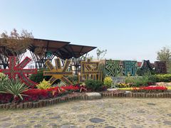 -上海长兴岛郊野公园