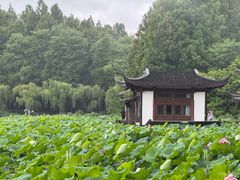 -印象西湖·最忆是杭州实景演出