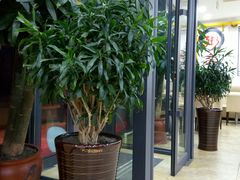 -宋记粥铺家常菜·米饭套餐·粤式早点(宽城万达店)