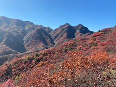 -水峪民俗村