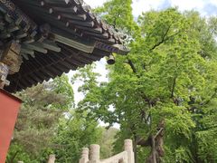 -潭柘寺景区