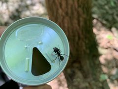 -宝岩生态观光园