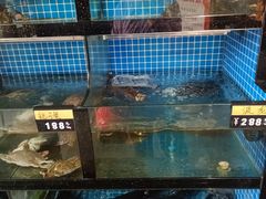 -千岛湖小鱼儿·淳安匠心农家菜