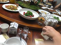 -丁老爷子苏香圆