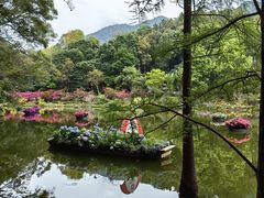 -深圳仙湖植物园