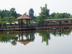 -建华生态湿地百荷园