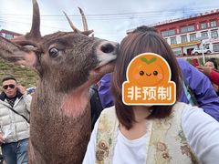 -孜珠寺