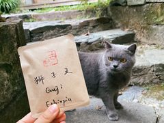 -西溪南古村落景区