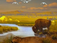 -陕西自然博物馆