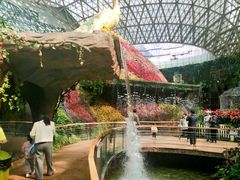 -花之城