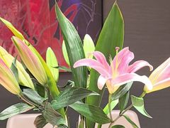 -鑫小城故事·藕汤·家常菜(台北一路总店)