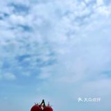 像极了~不要笑,皇冠会掉