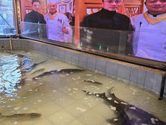-胖姐渔村(中源大道店)