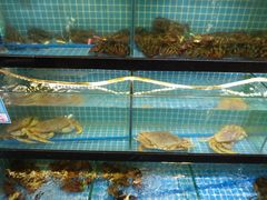 水产区-琼大师东方烤乳猪(亚特兰蒂斯店)