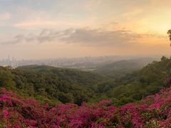 -广州市白云山风景名胜区