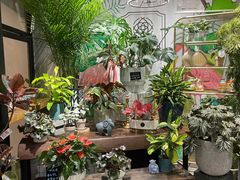 -弗劳尔花艺坊(龙涛店)